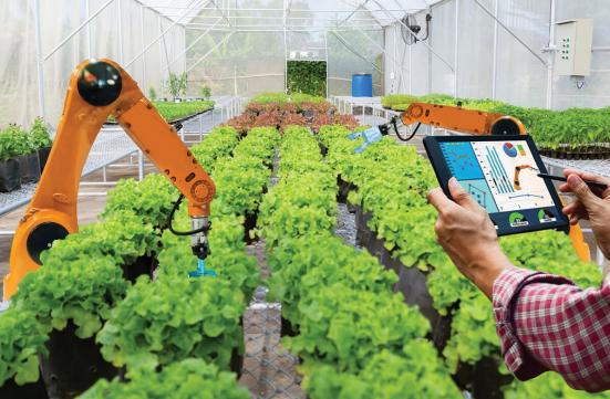 三农日报政策加快实施农业农村建设项目院士智慧农业是系统性生态报告