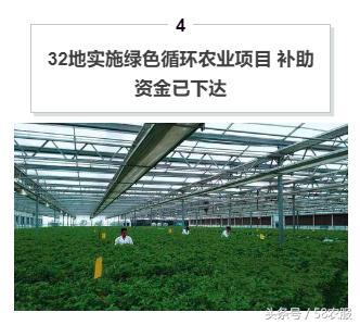 8.23农服资讯 有机肥补贴和奖励政策发布