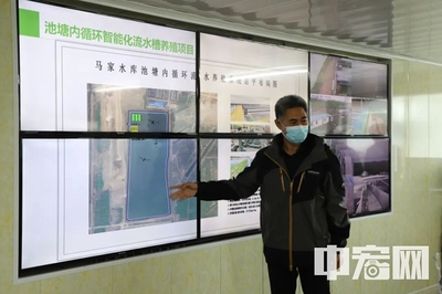 滨州市博兴县委副书记王普到吕艺镇调研水产产业链发展情况