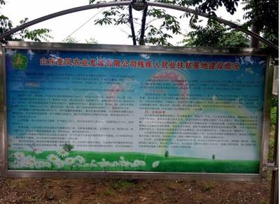 深入新泰,挖掘奶牛养殖粮改饲现状-财经频道-手机