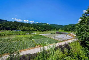 于伟国赴南平调研,要求走出具有山区特色的高质量发展之路