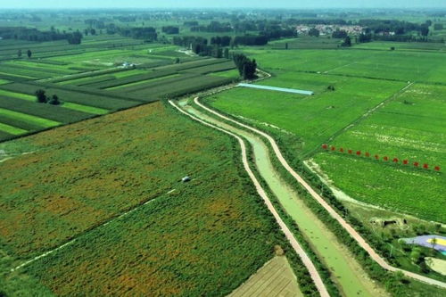 研学户外拓展基地建设项目可行性研究报告