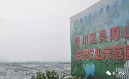 百亿投资 临川建设一批现代生态农业项目,哪个离你家最近