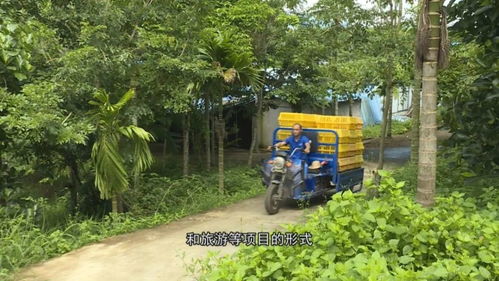 保亭七仙绿源公司 做大做强扶贫产业 带动农户奔向小康路