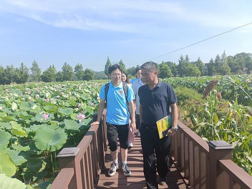 湖工商学子三下乡 助力乡村振兴,探索集体经济新路径