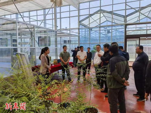 皋兰县组织考察学习国家储备林项目建设工作