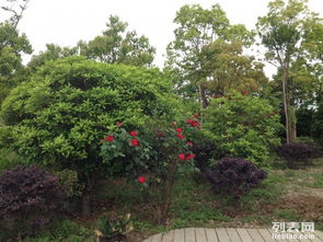 图 上海租年会地点 上海度假村 农家乐