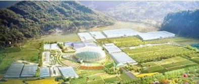 景德镇这个地方投资约50亿元 一处新的国家级旅游地将在这里诞生
