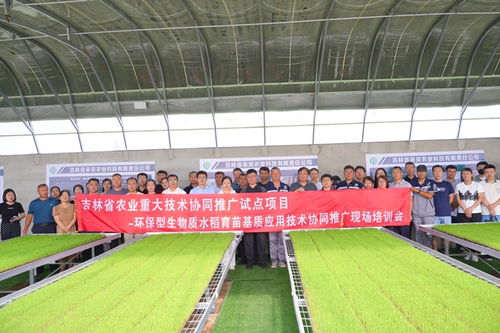 镇赉县引领品质农业新风尚 有机固废巧利用,无土栽培绘振兴蓝图