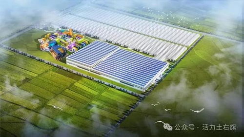 土右重大项目建设 热气腾腾