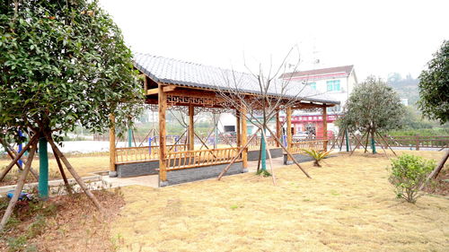 农家庭院美 村庄面貌新