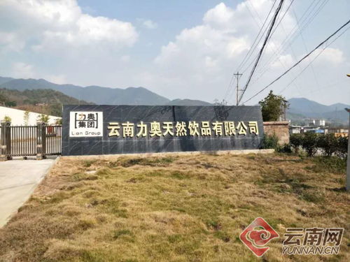 云南景东 党建引领 龙头带动 助力脱贫攻坚