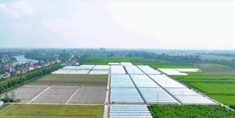 亚行项目湖北行·石首篇—农田高标准 粮食丰满仓