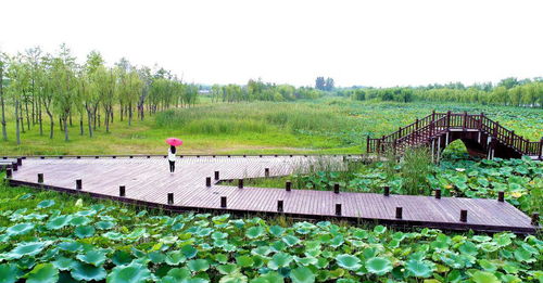 丰县这场启动仪式,太燃了
