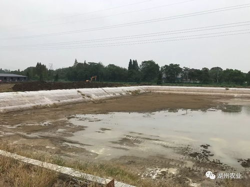 赞,赞,赞 全市11个农业大好高新项目通过认定