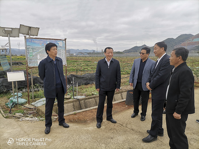 李胜强赴阳新调研农垦春耕备耕和特色产业发展
