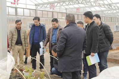 国家医药管理局为我县中医药医养结合项目发展出谋划策