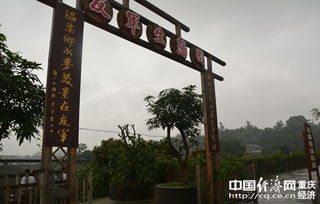 促进现代农业发展 友军生态园造观光旅游精品