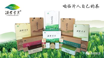 天蒙杯 首届费县导游讲解大赛报名开始啦 附赞助单位简介