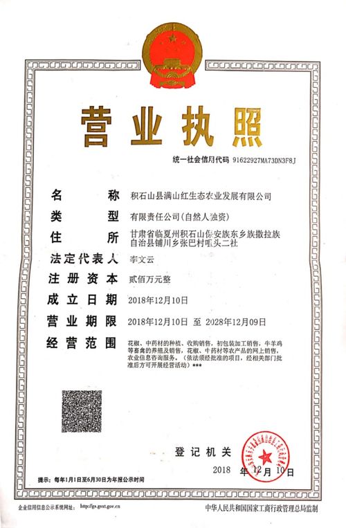 哔哩哔哩专栏