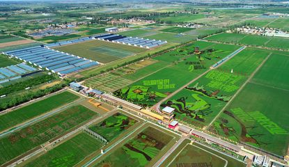 银川新闻网