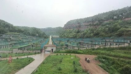 甘肃平凉:“国家森林城市”的绿色生态发展实践