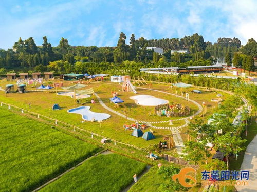 稻香满满 东莞这些美丽田园建设成果等你来打卡