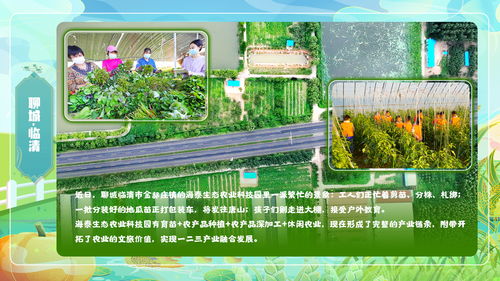 齐鲁耕韵 现代农业