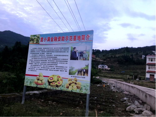 度小满金融发布亿元免息项目 携央视财经助农扶贫