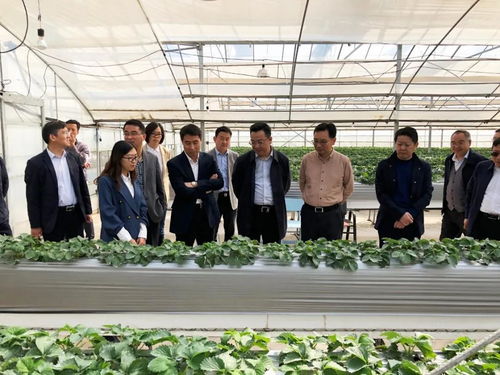 栖霞新闻网