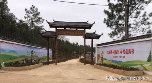 全县乡 镇 域经济高质量发展项目展播 一