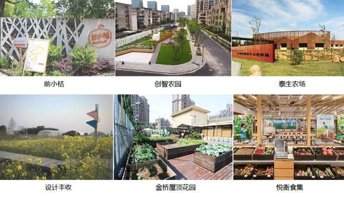前小桔 创智农园 泰生农场 等六大经典休闲农业案例