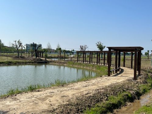 湖北小福生态农业发展项目建设快马加鞭