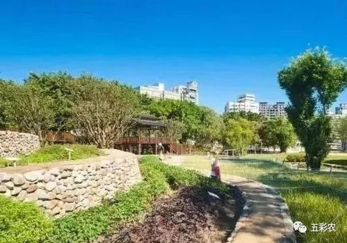 快看,现代农业赚钱的8种新模式 每一种都有大好 钱 途