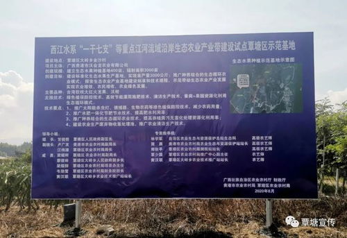 覃塘区发展生态农业,助力乡村振兴建设