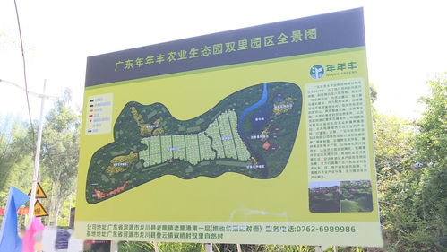 投资500万元,龙川县登云镇大力发展生态农业 水海
