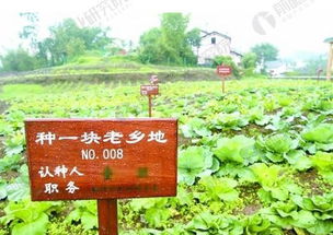 达州生态产业田园综合体案例