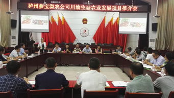 合江县参宝镇 举办川渝生态农业发展项目推介会