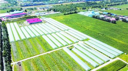开发区:堡垒坚强 乡村富美 凝心聚力谱新篇