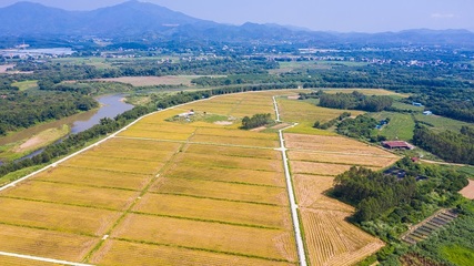 世界地球日④ | 惠东县自然资源局严守耕地红线,让乡村农田成为一道道风景线