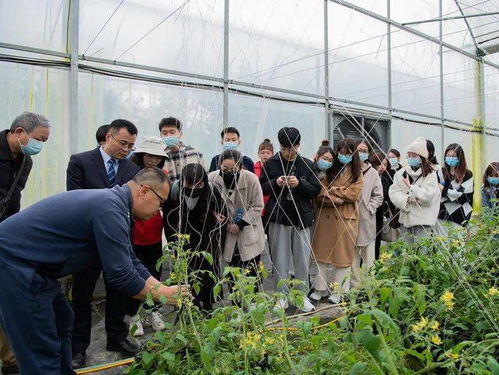 共叙闽台情谊 两岸青年在龙岩 话 出年味