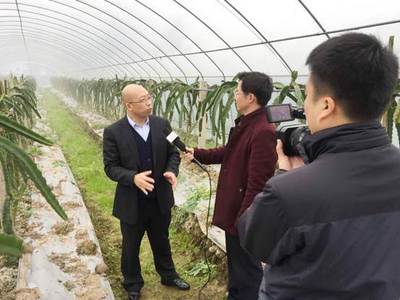 四川南充阆中:全力打造生态农业旅游 科学种植三位一体
