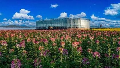 额尔古纳市入选 2024年全国休闲农业重点县榜单