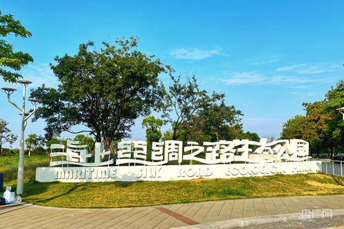 高质量发展调研行 泉州 生态连绵带 提升城镇生态空间 绿质 央广网