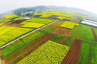 农村土地那么多,为什么涉农项目还是缺地