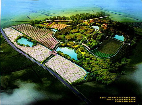 游子陈国华外出创业致富不忘本,建设生态农业园反哺家乡